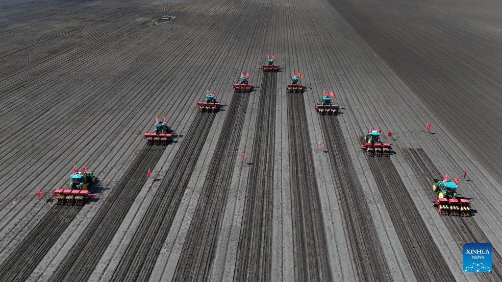 This drone photo taken on May 8, 2025 shows agricultural machinery ready to sow soybeans in a dry field of a farming company under the Beidahuang Group, in Shuangyashan City, northeast China's Heilongjiang Province. At present, the spring sowing in Heilongjiang cultivation areas are in full swing. All agricultural production units of Beidahuang Group, one of China's leading agricultural conglomerates, are seizing the farming season and busy with the sowing operations in both paddy rice fields and dry fields. (Photo: Xinhua)
