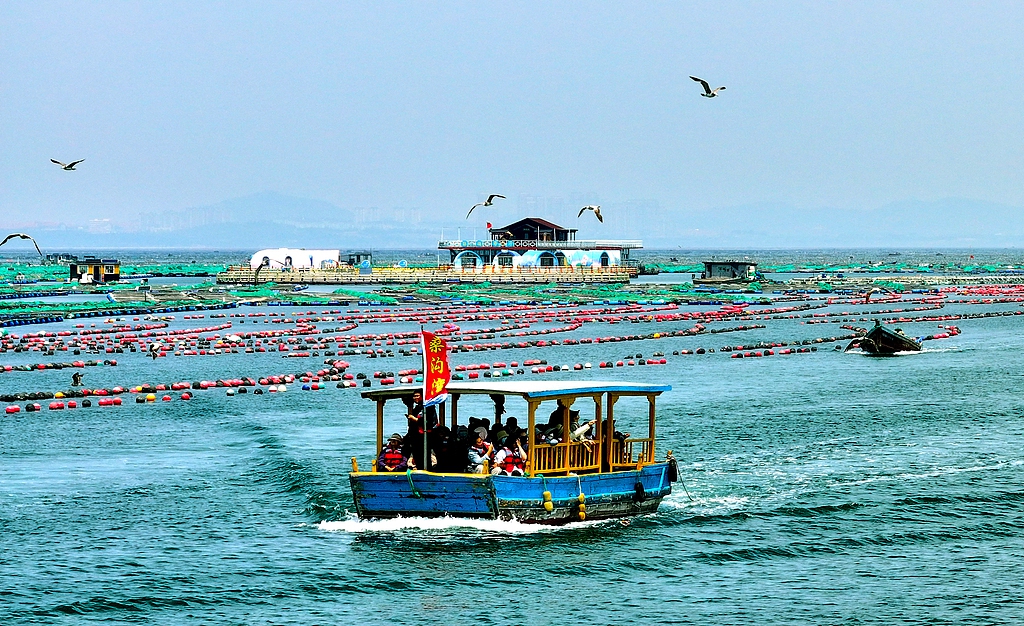 Tourists enjoy a yacht ride in Rongcheng, East China's Shandong Province, on May 11, 2025. As summer arrives and temperatures rise, Rongcheng is entering its peak season for marine tourism. China's marine tourism sector recorded robust growth in the first quarter of 2025, with value-added output rising 7.5 percent year-on-year, per Xinhua. Photo: VCG