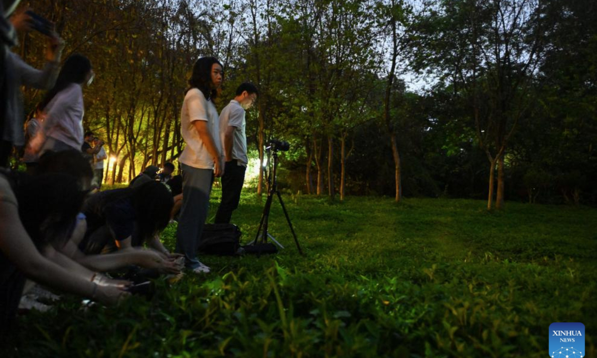People watch fireflies at Tianhe Park in Guangzhou, south China's Guangdong Province on May 13, 2025. Fireflies here have become active, attracting people to watch and take photos. (Xinhua/Xiao Ennan)