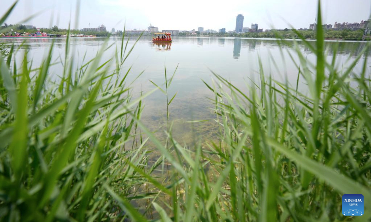 People row a boat at Haibao park in Yinchuan, northwest China's Ningxia Hui Autonomous Region, May 25, 2025. (Xinhua/Wang Peng)