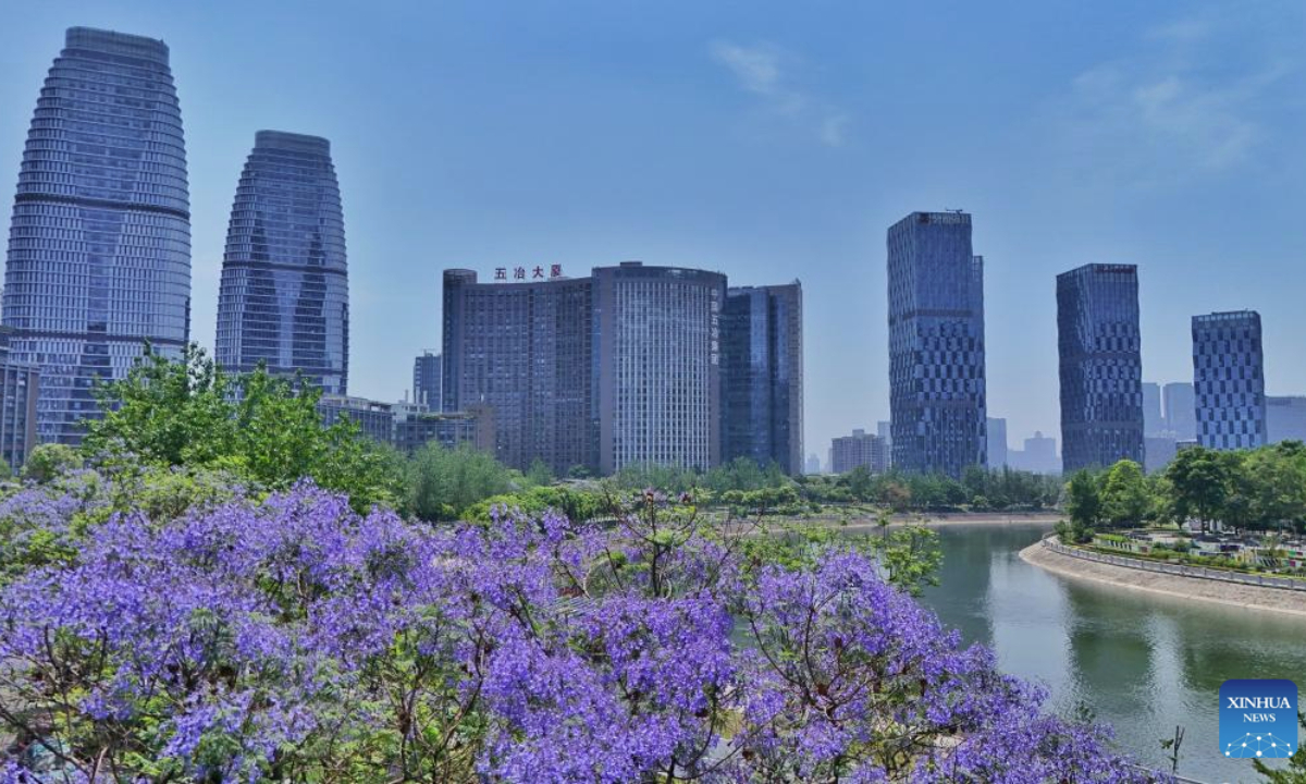 An aerial drone photo taken on May 12, 2025 shows Jacaranda trees in full bloom along Jinjiang River in Jinjiang District of Chengdu, southwest China's Sichuan Province, May 12, 2025. As temperatures rise, the jacaranda trees across the city are entering their peak flowering period. (Xinhua/Liu Kun)