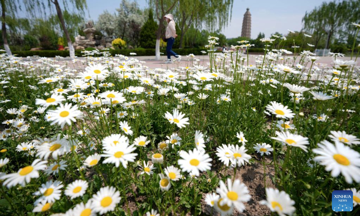 A tourist visits Haibao park in Yinchuan, northwest China's Ningxia Hui Autonomous Region, May 25, 2025. (Xinhua/Wang Peng)