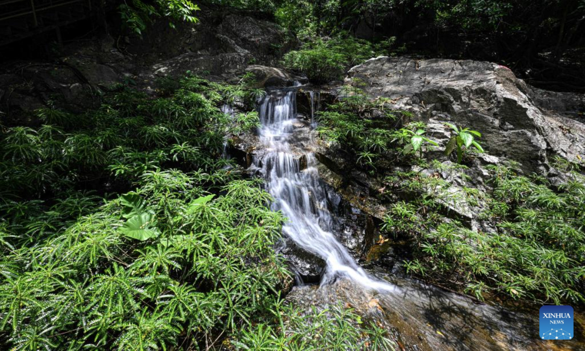 This photo taken on May 21, 2025 shows a ravine at the Yanoda Rain Forest Cultural Tourism Zone in Baoting Li and Miao Autonomous County, south China's Hainan Province. The Yanoda Rain Forest Cultural Tourism Zone boasts over 1,400 species of trees and more than 80 varieties of tropical flowers. (Xinhua/Pu Xiaoxu)