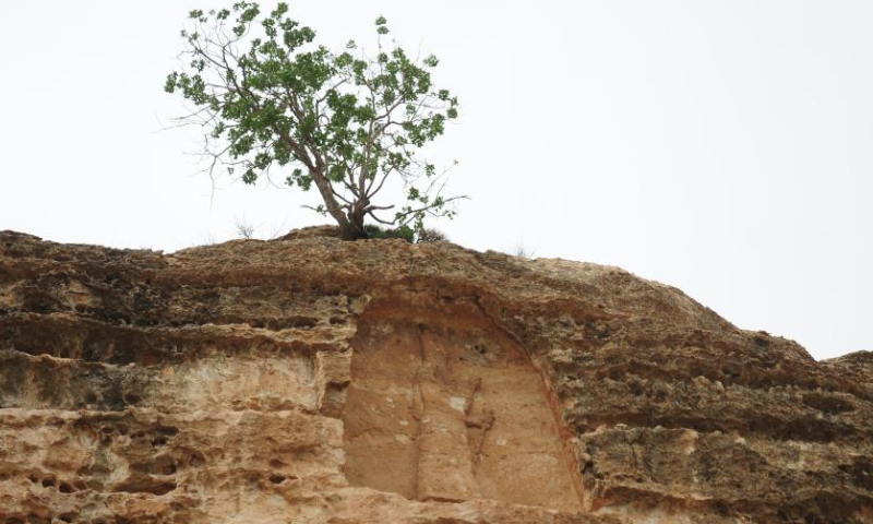 This photo taken on May 12, 2025 shows an Assyrian relief in the Khinis Valley, northern Iraq. (Xinhua/Duan Minfu)