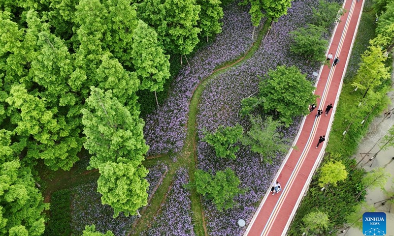 An aerial drone photo shows citizens enjoying leisure time at a park in Yueqing, east China's Zhejiang Province, May 11, 2025. (Photo by Cai Kuanyuan/Xinhua)