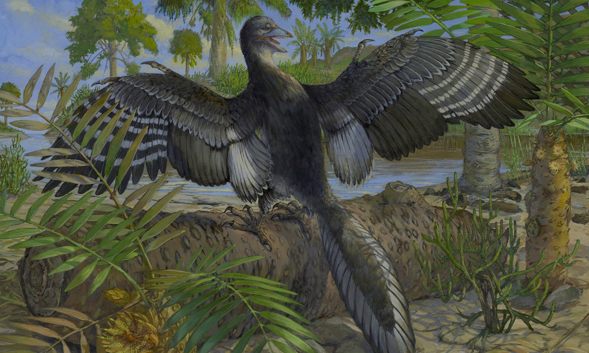 Life reconstruction of Jurassic bird Archaeopteryx. Photo: Michael Rothman