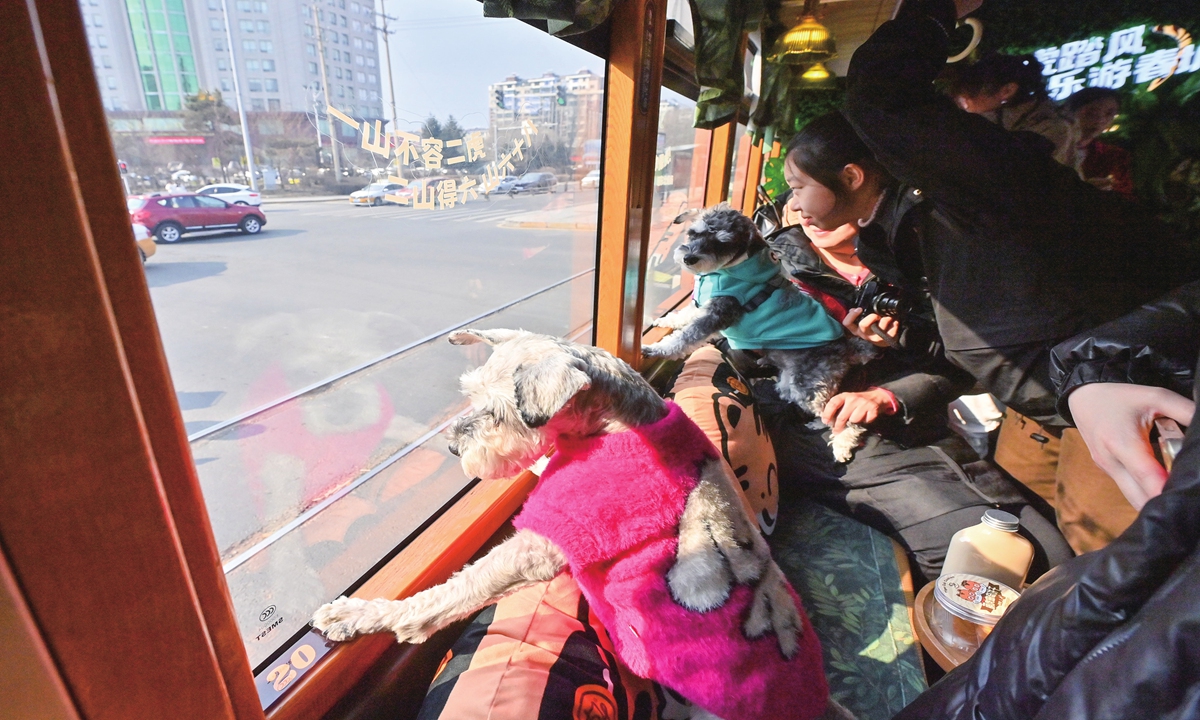 Pets and their owners look outside the window on a pet-friendly bus in Changchun, Northeast China's Jilin Province on March 16. Photo: VCG