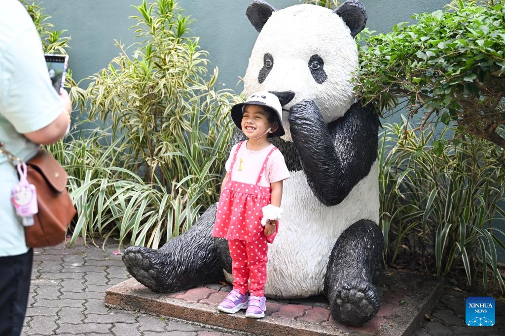 A little girl poses for a photo with a giant panda sculpture at the Zoo Negara near Kuala Lumpur, Malaysia, May 17, 2025. As the giant panda pair Xing Xing and Liang Liang, formerly known as Fu Wa and Feng Yi in China, are scheduled to return to China on May 18, 2025, people on Saturday bid farewell to them at the Zoo Negara. The pair arrived in Malaysia on May 21, 2014. (Photo: Xinhua)