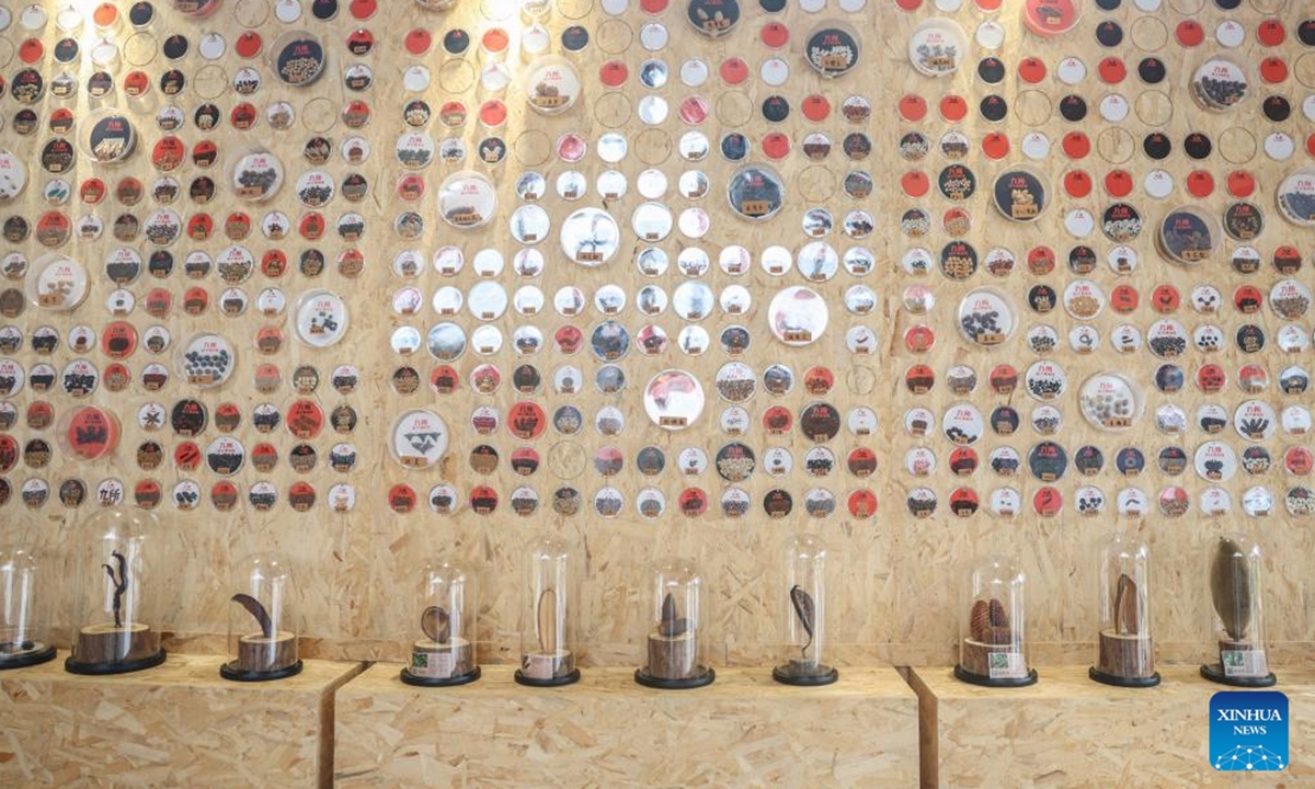 This photo taken on May 15, 2025 shows an interior view of the Jiusuo seed museum in Jiusuo Village, Fuwen Township of Ding'an County, south China's Hainan Province. Located in Jiusuo Village, Jiusuo seed museum, home to a collection of more than 800 kinds of seeds and specimens, serves as a vivid learning platform for the public through displays, graphic explanation and interactive experiences. (Xinhua/Zhang Liyun)