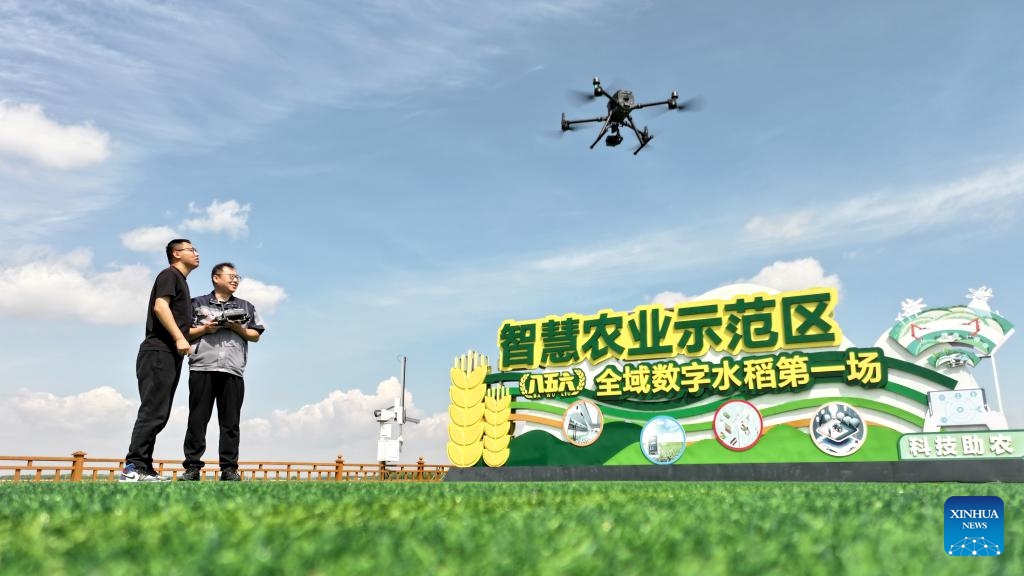 A drone monitors soil moisture conditions after rice transplanting at an agriculture demonstration zone of a farming company under the Beidahuang Group's branch in northeast China's Heilongjiang Province, May 21, 2025. The traditional Chinese solar term Xiaoman (Grain Buds) falls on May 21 this year, indicating that grain seeds are becoming full. (Photo by Wang Jinbin/Xinhua)