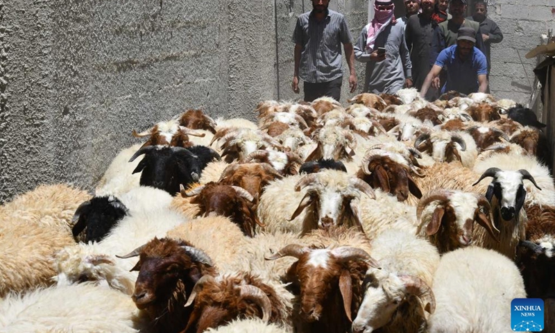 People visit a livestock market in preparation for the upcoming Eid al-Adha holiday in Damascus, Syria, on May 30, 2025. (Photo: Xinhua)