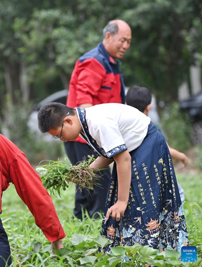 A child clears weeds at Huiai Farm in Yangliuqing Town, Xiqing District, north China's Tianjin, May 31, 2025. Huiai Farm covers an area of approximately 80 mu (about 5.33 hectares) and was jointly initiated and built by 8 families, whose children were diagnosed with autism or intellectual disabilities. (Xinhua)