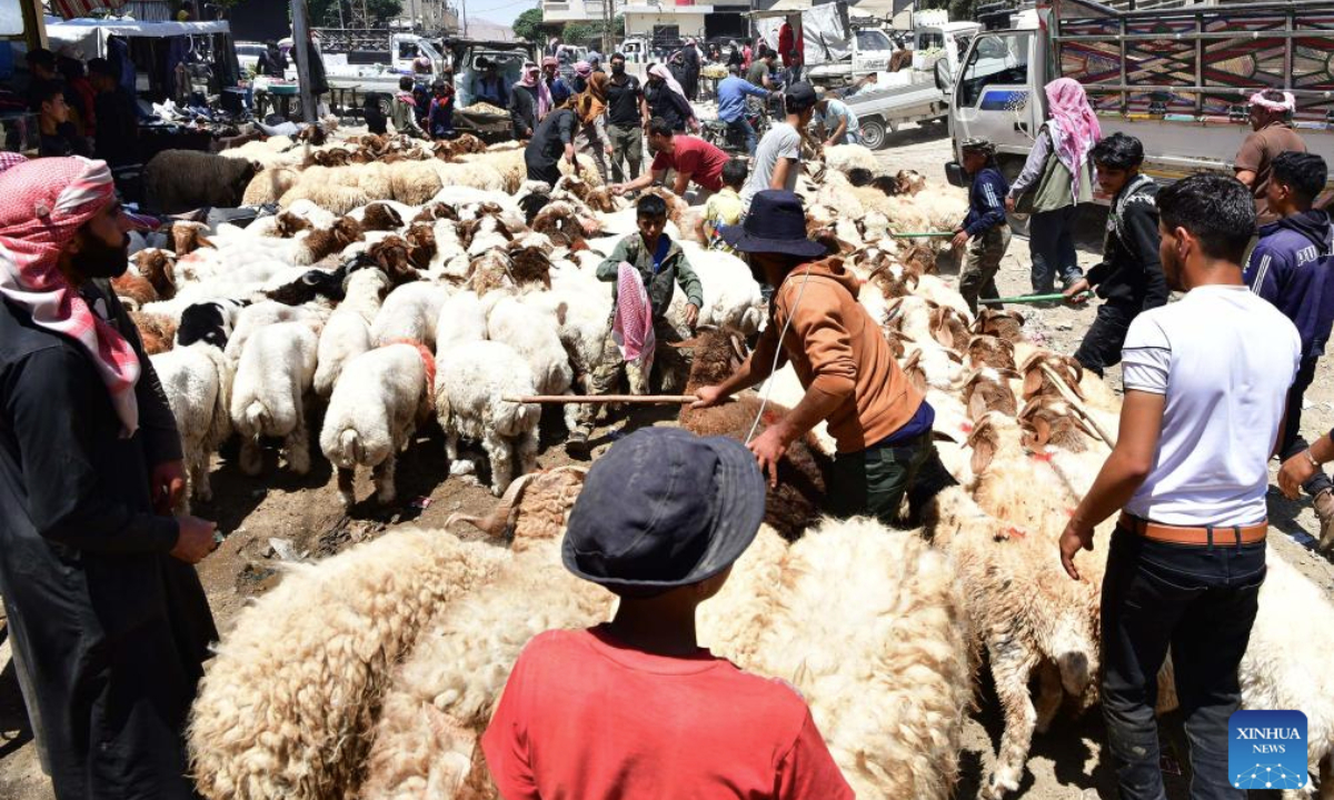 People visit a livestock market ahead of the Eid al-Adha in Damascus, Syria, on June 5, 2025. (Photo by Ammar Safarjalani/Xinhua)