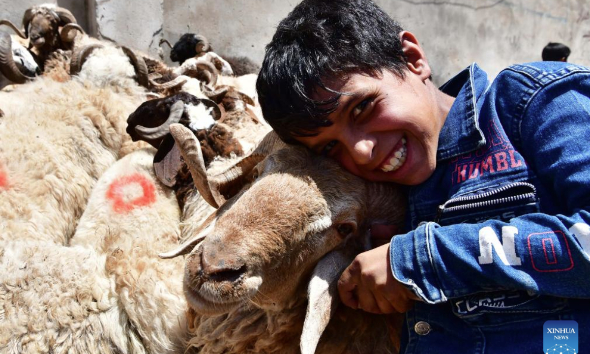 A boy poses with sheep at a livestock market ahead of the Eid al-Adha in Damascus, Syria, on June 5, 2025. (Photo by Ammar Safarjalani/Xinhua)