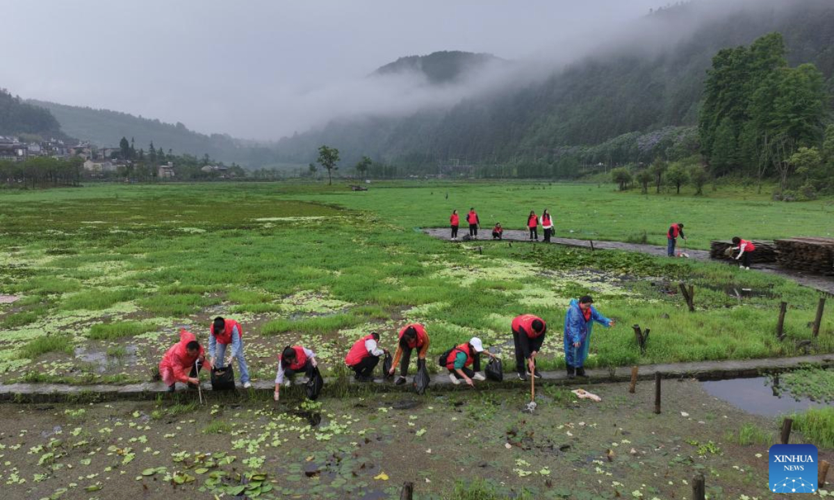 An aerial drone photo taken on June 4, 2025 shows volunteers collecting wastes at a wetland park in Tengchong, southwest China's Yunnan Province. Various events are held to raise people's awareness of environmental protection in China ahead of World Environment Day, which falls on June 5. (Photo by Gong Zujin/Xinhua)