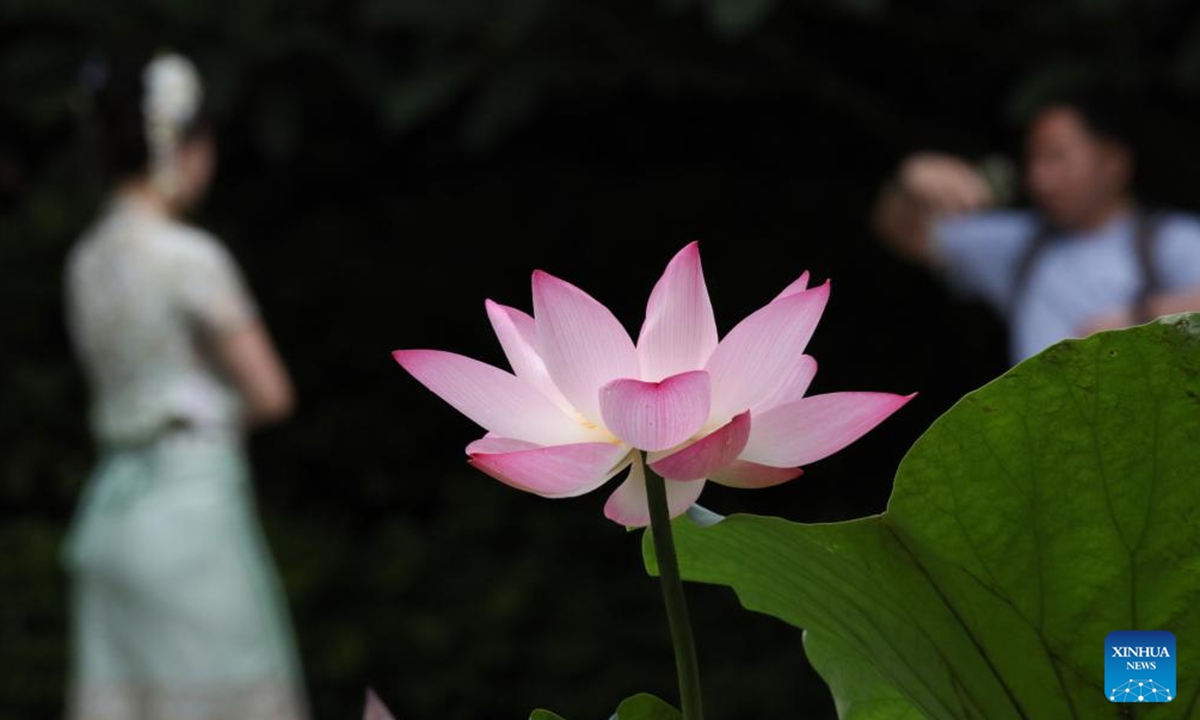 Tourists have fun at a scenic spot in Jinghong City, Xishuangbanna Dai Autonomous Prefecture, southwest China's Yunnan Province, June 2, 2025. People enjoy the 3-day holiday of the Dragon Boat Festival, also called Duanwu Festival which falls on May 31 this year, via various activities across the country. (Photo by Li Yunsheng/Xinhua)