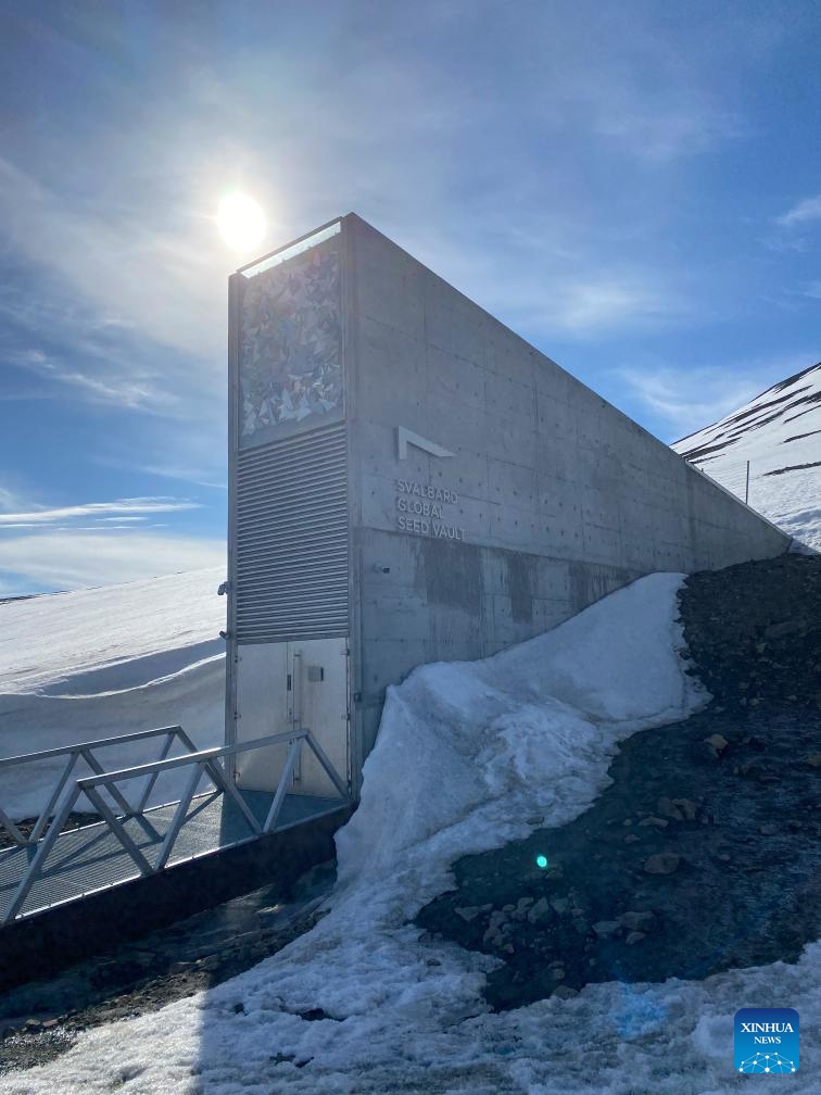 This photo taken on June 3, 2025 shows the Svalbard Global Seed Vault in Longyearbyen, Svalbard, Norway. Fourteen gene banks from around the world are depositing more than 11,200 seed samples this week at the Svalbard Global Seed Vault, underscoring the critical role of crop diversity in future food security. (Crop Trust/Handout via Xinhua)