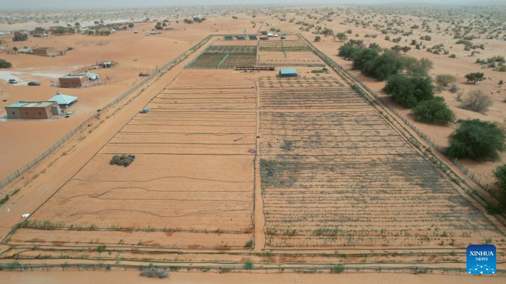 An aerial drone photo taken on May 22, 2025 shows the China-Africa Green Technology Park in Bir El Barka, Trarza region, western Mauritania. The China-Africa Green Technology Park is a key demonstration project supporting Africa's Great Green Wall Initiative, launched in 2007 to create a 7,000-km ecological barrier across northern Africa and the Sahel to combat desertification. (Xinhua/Si Yuan)