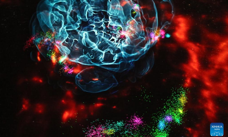 Photo taken on June 3, 2025 shows cosmic movement in Encounters in the Milky Way, the 7th space show of Hayden Planetarium at the American Museum of Natural History in New York City, the United States. The American Museum of Natural History in New York City is launching a new space show to present the story of cosmic motion and how that impacts the solar system, offering a journey through the history and future of the Milky Way galaxy. (Xinhua/Liu Yanan)