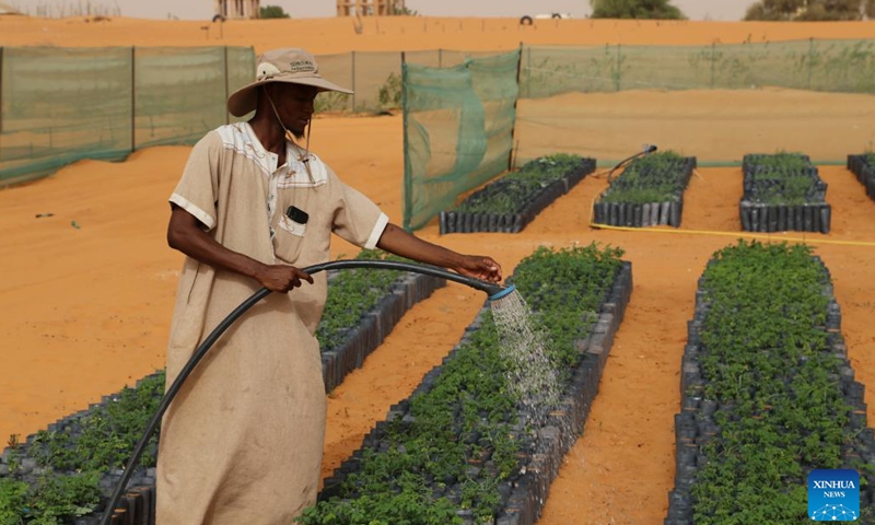 A worker waters plants in the China-Africa Green Technology Park in Bir El Barka, Trarza region, western Mauritania, on May 22, 2025. The China-Africa Green Technology Park is a key demonstration project supporting Africa's Great Green Wall Initiative, launched in 2007 to create a 7,000-km ecological barrier across northern Africa and the Sahel to combat desertification. (Xinhua/Si Yuan)