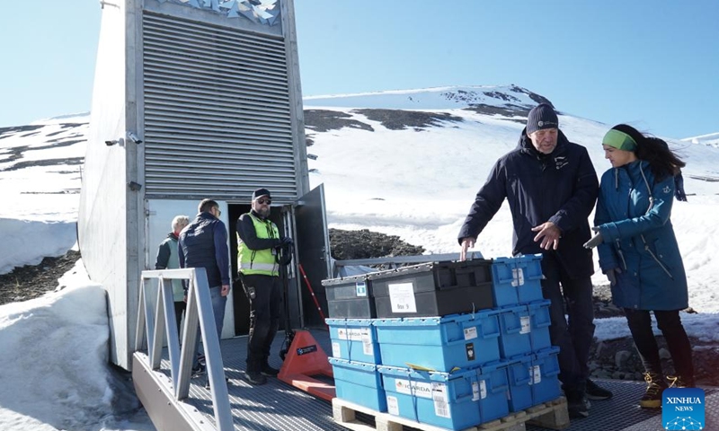 Staff members transport seed samples into the Svalbard Global Seed Vault in Longyearbyen, Svalbard, Norway, on June 3, 2025. Fourteen gene banks from around the world are depositing more than 11,200 seed samples this week at the Svalbard Global Seed Vault, underscoring the critical role of crop diversity in future food security. (Crop Trust/Handout via Xinhua)