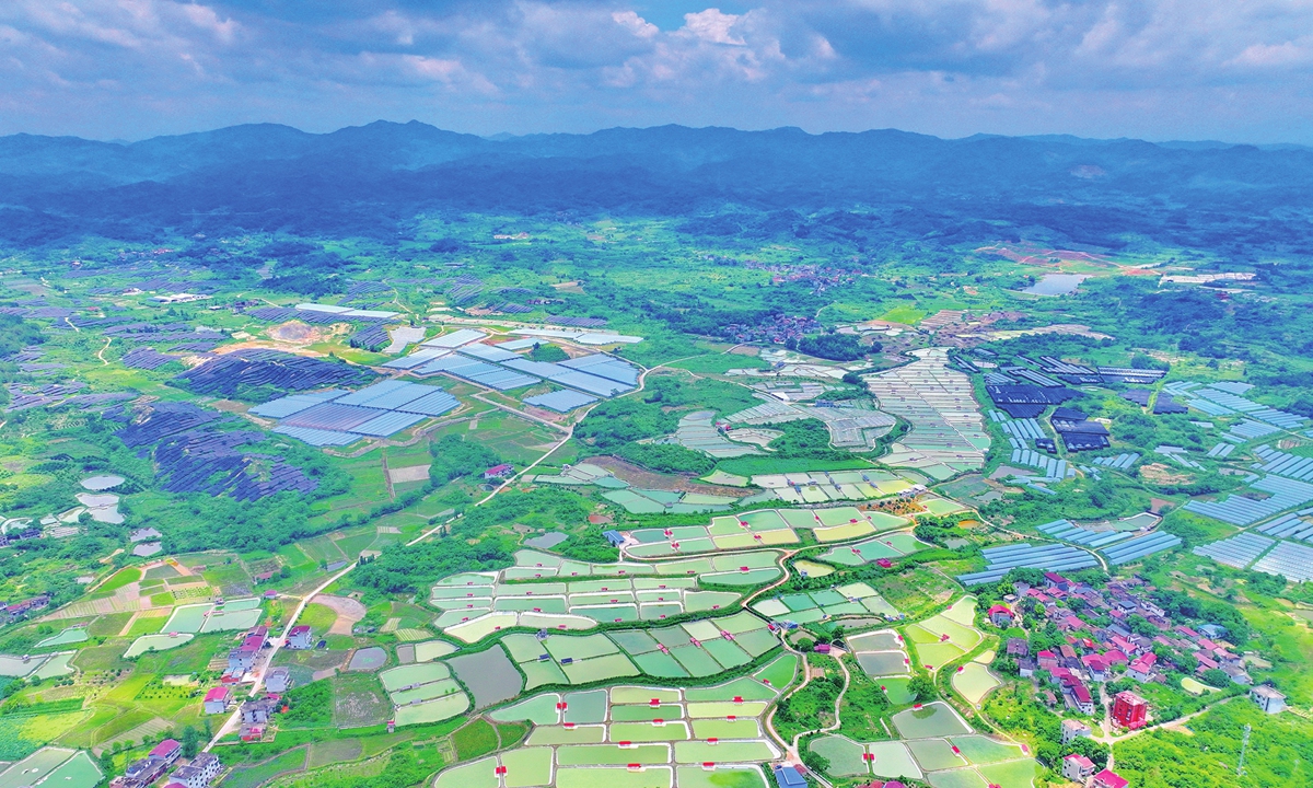 Photovoltaic panels integrate with the colorful view at an agricultural-solar complementary ecological breeding base in Fuzhou, East China's Jiangxi Province on June 4, 2025. The local county has been promoting the breeding model, which has driven cost reductions and efficiency improvements in the photovoltaic power generation and turtle breeding industries. 
Photo: VCG