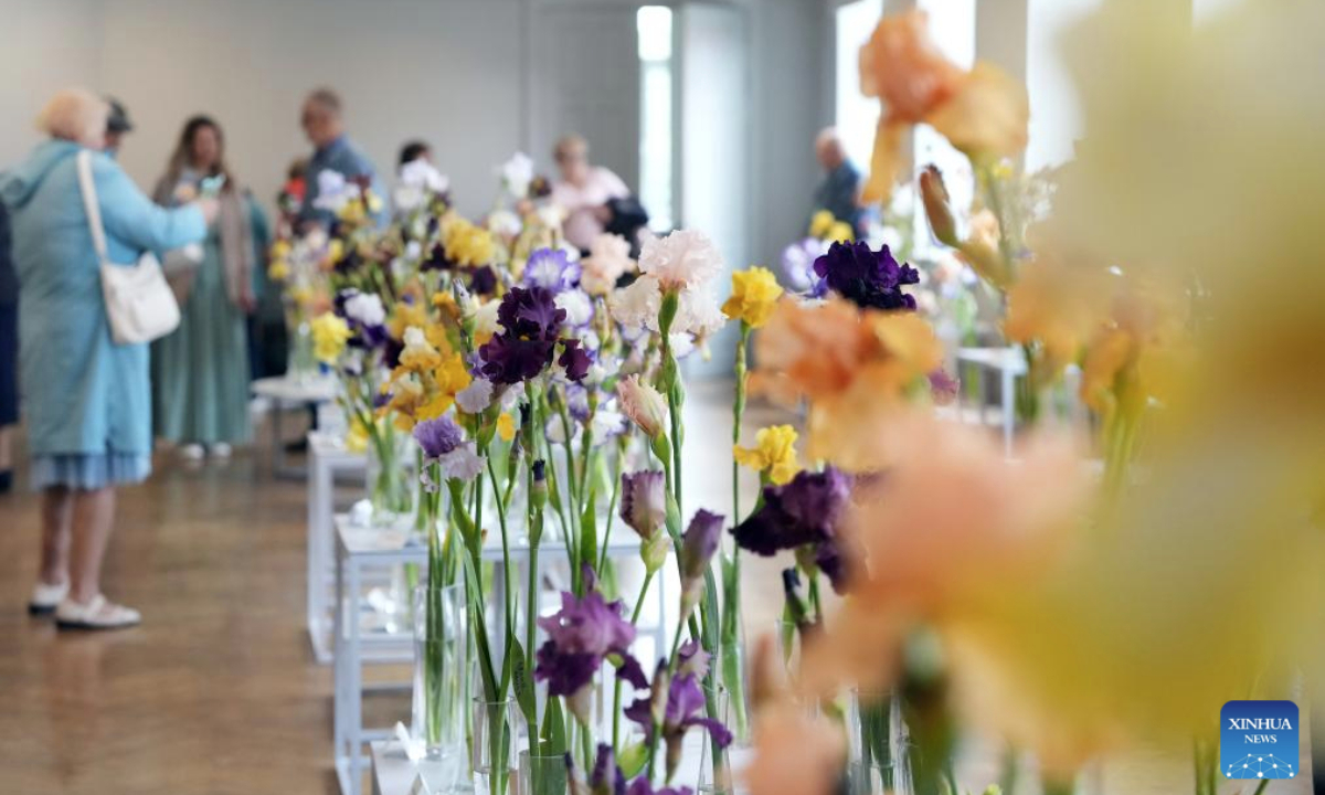 People visit the exhibition Irises 2025 at Latvian Museum of Natural History in Riga, Latvia, June 11, 2025. The annual exhibition kicked off on Wednesday, and will run until Friday. Around 100 varieties of iris are exhibited, marking the 30th anniversary of iris exhibitions at the museum. (Photo by Edijs Palens/Xinhua)