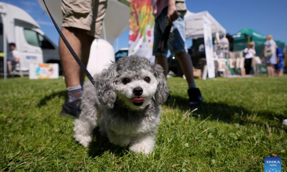 Residents with their dog participate in the Warsaw Pets Day held in Warsaw, Poland on June 15, 2025. (Photo by Jaap Arriens/Xinhua)