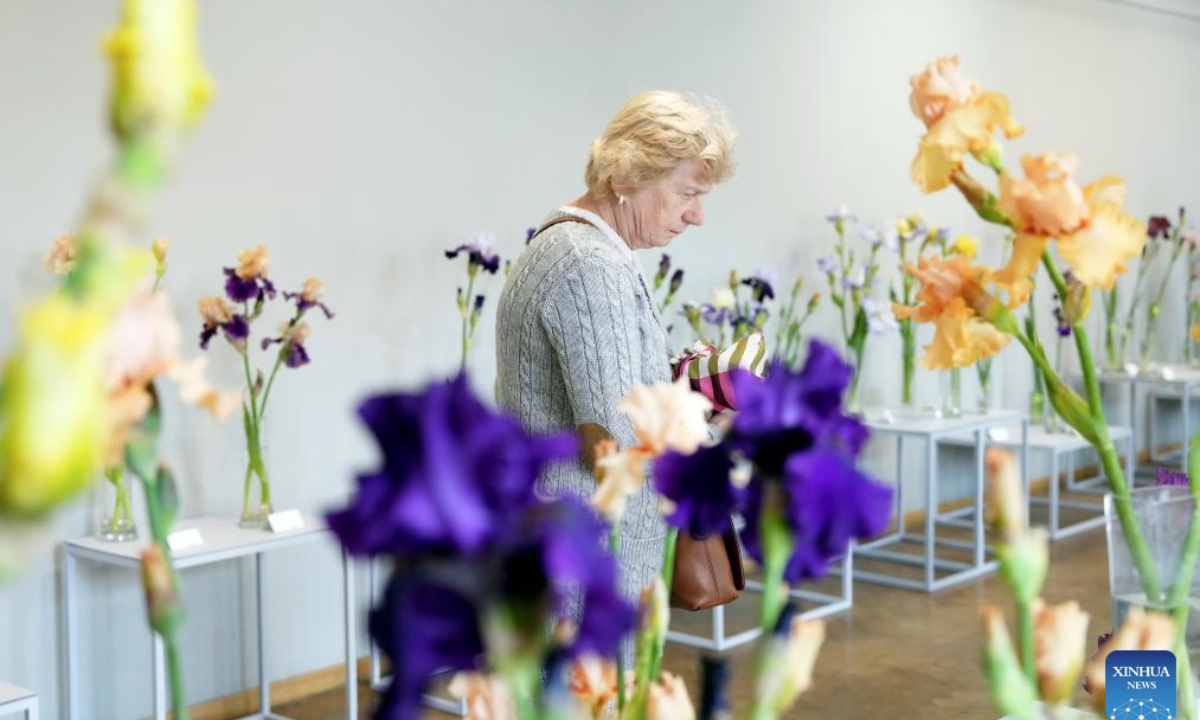 A woman visits the exhibition Irises 2025 at Latvian Museum of Natural History in Riga, Latvia, June 11, 2025. The annual exhibition kicked off on Wednesday, and will run until Friday. Around 100 varieties of iris are exhibited, marking the 30th anniversary of iris exhibitions at the museum. (Photo by Edijs Palens/Xinhua)