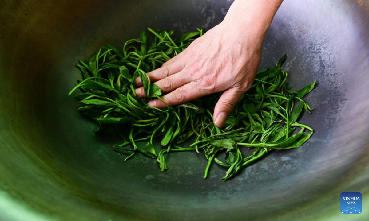 A worker processes tea leaves in Houkeng Village of Huangshan, east China's Anhui Province, April 15, 2025.

Taiping Houkui is a renowned green tea from Anhui, known for its flat, elongated leaves. Grown in Huangshan's pristine environment, it undergoes meticulous hand-processing, including pan-firing and careful drying. The tea offers a unique aroma, mellow taste, and sweet aftertaste. The making technique of Taiping Houkui was listed as one of the national intangible cultural heritages in 2008. (Xinhua/Zhou Mu)