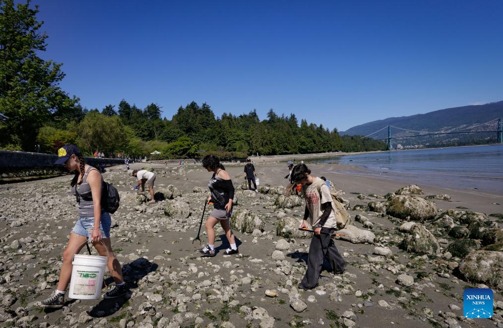 Volunteers pick up trash during a shore cleanup event on World Oceans Day at Stanley Park in Vancouver, British Columbia, Canada, June 8, 2025. Sunday marked the World Oceans Day. People in Cotonou, Benin, participated in a beach clean-up activity to contribute to the protection of the marine environment. (Photo: Xinhua)