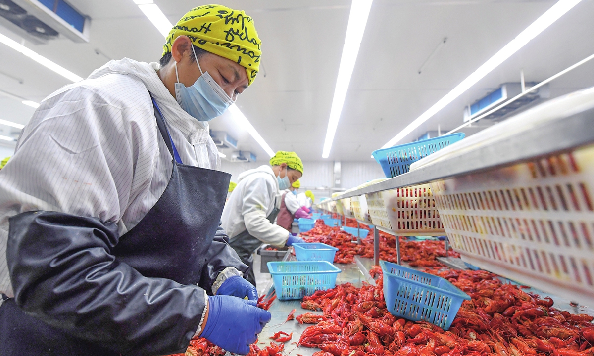 Workers process steamed crayfish on a production line at a food company in Chaohu, East China's Anhui Province on June 10, 2025. According to the China Aquatic Products Processing and Marketing Alliance, China's crayfish industry has expanded rapidly since 2012, with the national output estimated to exceed 3 million metric tons last year. The proportion of processed crayfish products continues to grow year by year. Photo: VCG