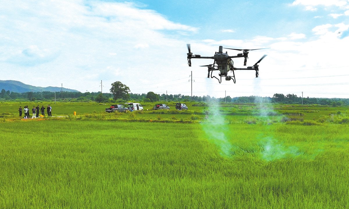 Technicians operate a drone on June 4, 2025 to protect crops at a smart agriculture demonstration site in Jishui county, Ji'an, East China's Jiangxi Province, where technologies like drone spraying, smart seedling cultivation, and 5G data platforms are widely promoted. Photo: IC