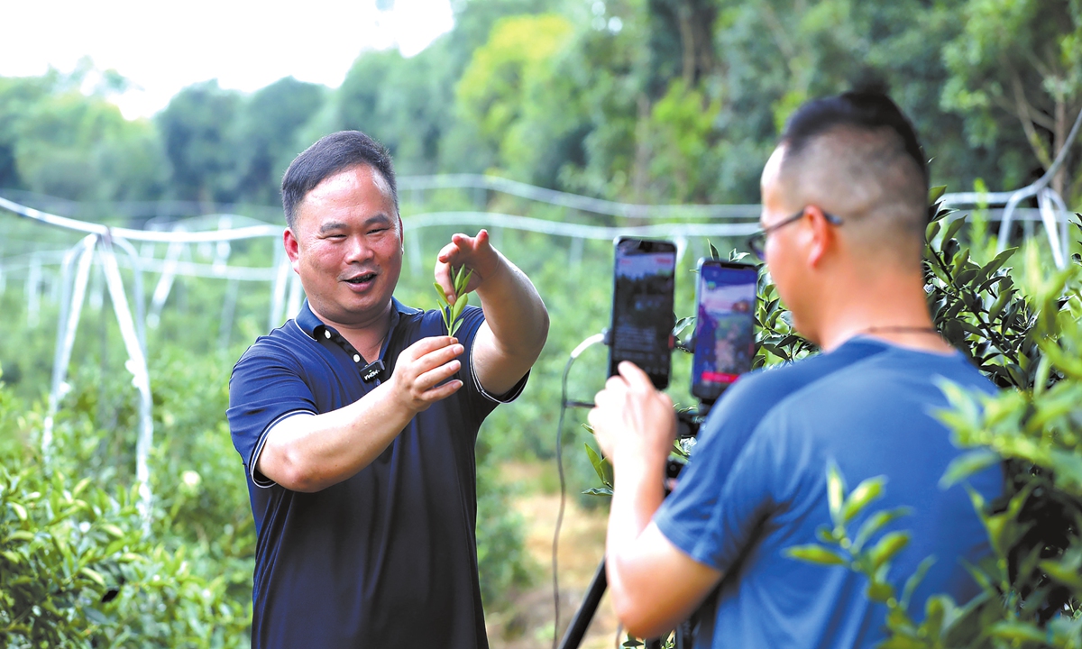 An agricultural expert gives a livestream tutorial on kumquat cultivation at a plantation base in Rongan county, Liuzhou, South China's Guangxi Zhuang Autonomous Region, on June 10, 2025.  Photo: VCG