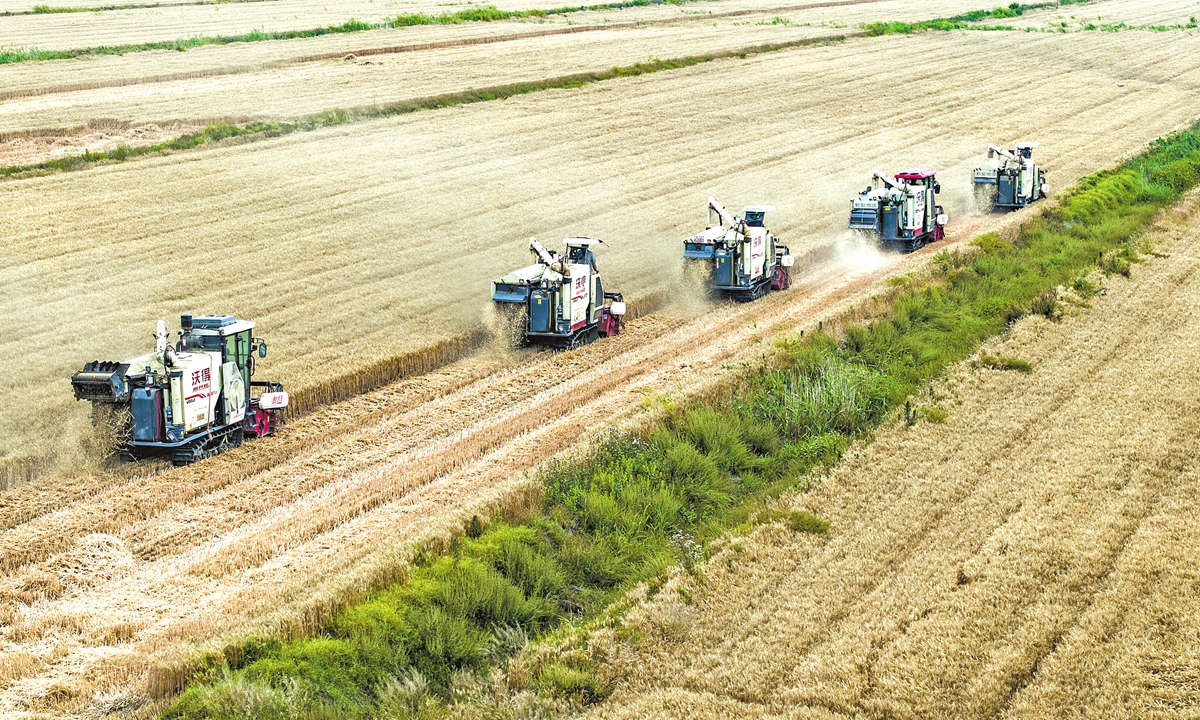 Large-scale harvesters reap wheat in the fields in Binhai county, Yancheng, East China's Jiangsu Province, on June 6, 2025. Photo: VCG
