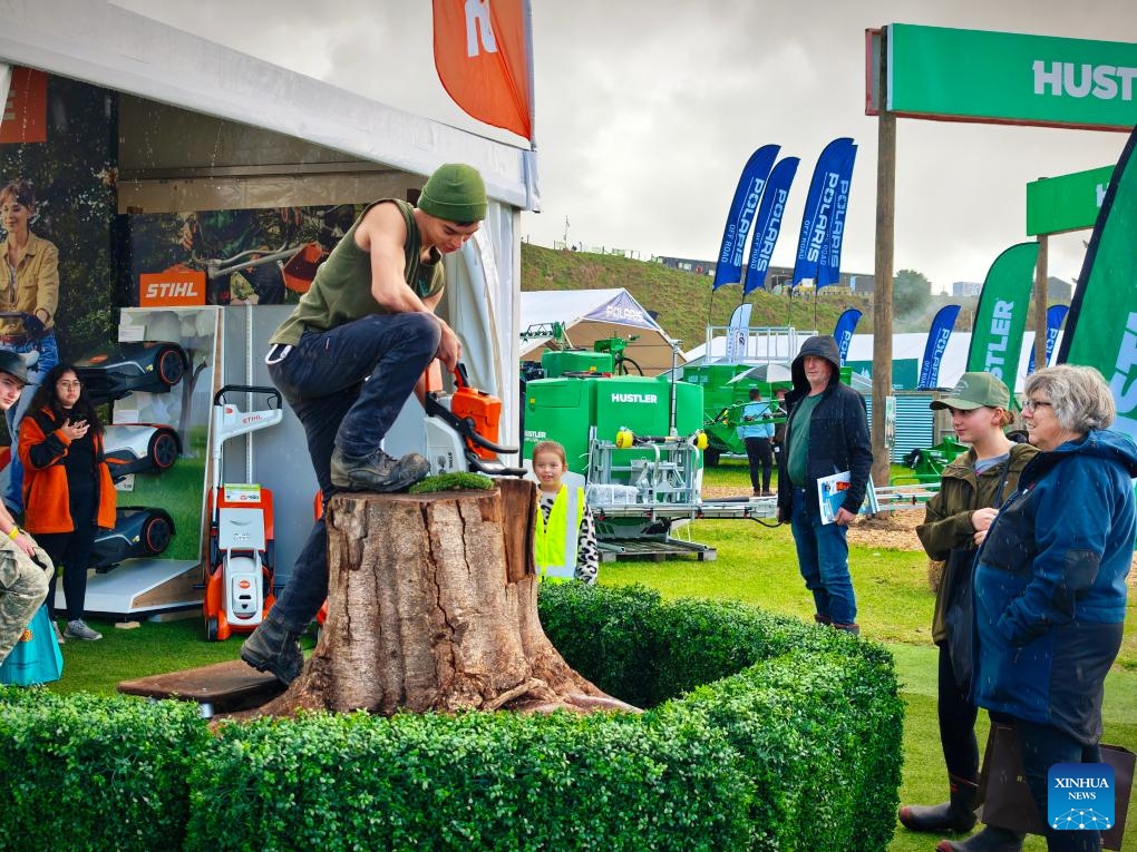 A young man tries to pull a chainsaw out of a tree stump at the 57th Fieldays in Hamilton, New Zealand, June 14, 2025. The 57th Fieldays, the Southern Hemisphere's largest agricultural event, concluded here on Saturday. This year's event, which began on Wednesday, has seen a record number of exhibitors, highlighting advancements in agritech, sustainability, and rural wellbeing. (Photo: Xinhua)