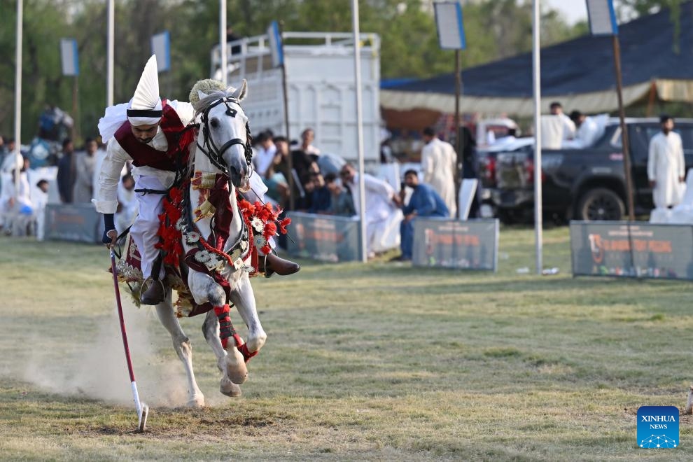 A horseman competes during a tent pegging competition in Islamabad, capital of Pakistan on June 14, 2025. In tent pegging, a horseman gallops and uses a sword or a lance to pierce, pick up and carry away a wooden peg. (Photo: Xinhua)