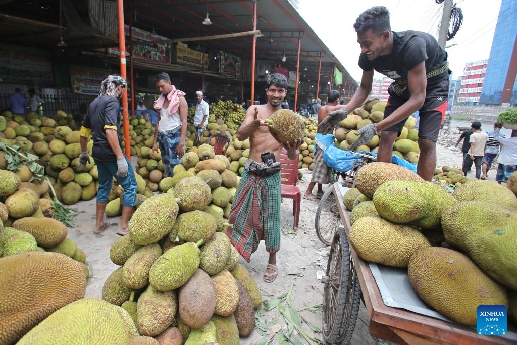 A farmer sorts jackfruits at a wholesale market in Dhaka, Bangladesh, June 14, 2025. Bangladesh has entered its fruit harvest season recently. (Photo: Xinhua)