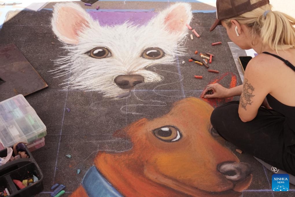 A chalk artist creates a work during the Pasadena Chalk Festival in Pasadena, California, the United States, June 14, 2025. More than 500 chalk artists participated in the two-day festival that kicked off here Saturday..(Photo: Xinhua)