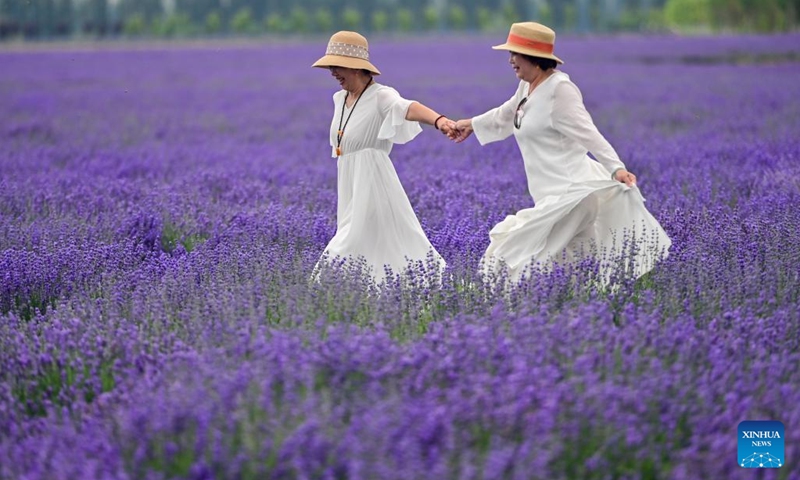 Tourists visit a lavender farm in Huocheng County, northwest China's Xinjiang Uygur Autonomous Region, June 14, 2025. Vast fields of lavender in Huocheng County entered full bloom in June, transforming the landscape into a sea of purple. Featuring cultural performances, sports events and exhibitions showcasing local heritage, a lavender tourism festival kicked off to coincide with this natural spectacle, highlighting the region's thriving lavender industry while promoting local tourism and economic development. (Photo: Xinhua)