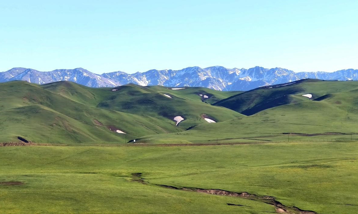 A view of the Akeqiao Grassland in Northwest China's Xinjiang Uygur Autonomous Region on May 23, 2025 Photo: Wang Wei