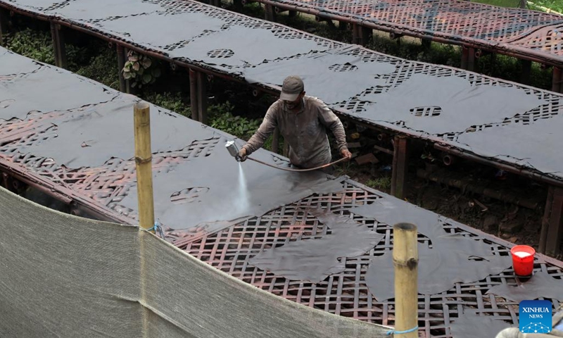 A worker processes leather at a tannery factory in Savar, on the outskirts of Dhaka, Bangladesh, June 21, 2025. (Photo: Xinhua)