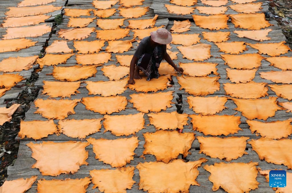 A worker processes leather at a tannery factory in Savar, on the outskirts of Dhaka, Bangladesh, June 21, 2025. (Photo: Xinhua)