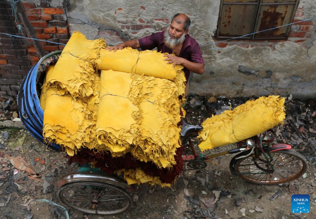 A worker transports leather at a tannery factory in Savar, on the outskirts of Dhaka, Bangladesh, June 21, 2025. (Photo: Xinhua)