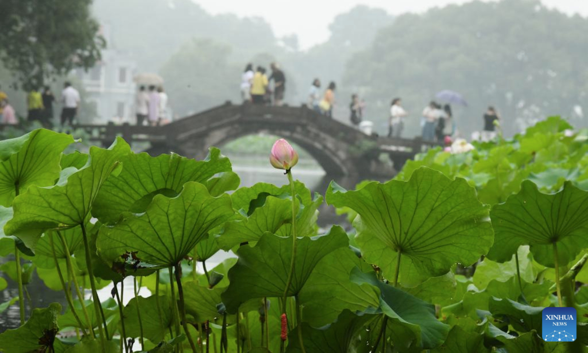 Tourists view lotus flowers at the West Lake scenic spot in Hangzhou, east China's Zhejiang Province, June 24, 2025. Lotuses in the waters of the West Lake have entered the flowering period, which will last until early September. (Xinhua/Weng Xinyang)