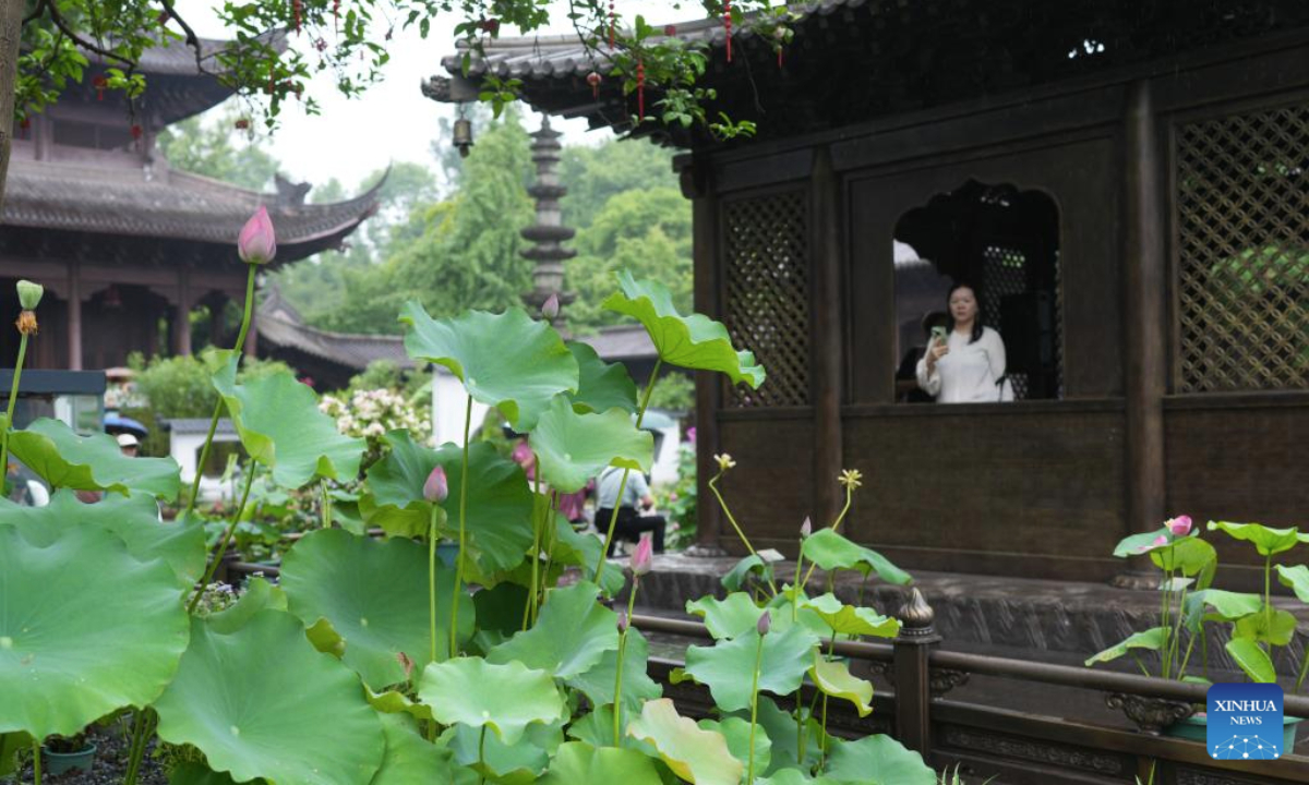 A tourist views lotus flowers at a temple in the West Lake scenic spot in Hangzhou, east China's Zhejiang Province, June 24, 2025. Lotuses in the waters of the West Lake have entered the flowering period, which will last until early September. (Xinhua/Weng Xinyang)
