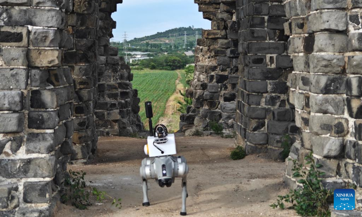 This photo taken by a mobile phone on June 16, 2025 shows a four-legged robot checking the structure of a section of the Great Wall in Qinhuangdao City, north China's Hebei Province. (Xinhua/Bai Lin)