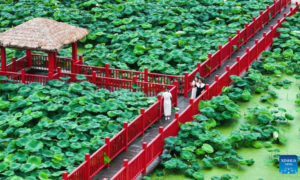 An aerial drone photo taken on June 23, 2025 shows tourists enjoying lotus flowers in Yizheng City, east China's Jiangsu Province. (Photo by Qi Liguang/Xinhua)