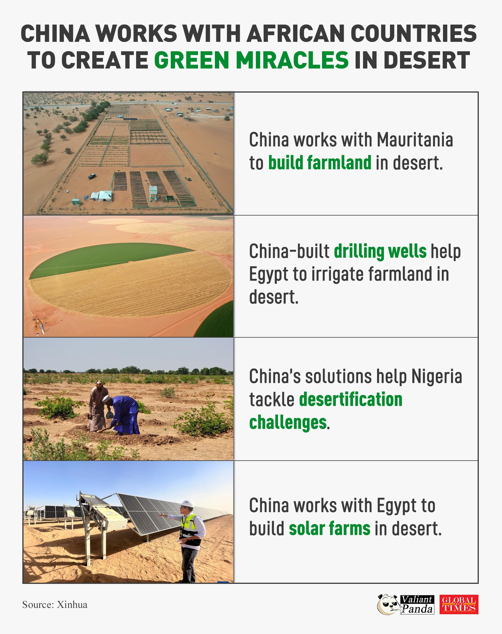 From arid deserts to farmlands, China works with African countries to create green miracles in the desert. 