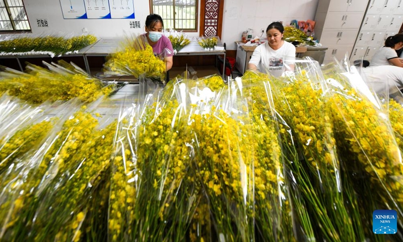 Workers arrange orchids at an orchid planting base in Da'an Township, Baisha Li Autonomous County, south China's Hainan Province, June 25, 2025. The orchid industry has become an important booster for rural revitalization of Da'an Township. (Photo: Xinhua)
